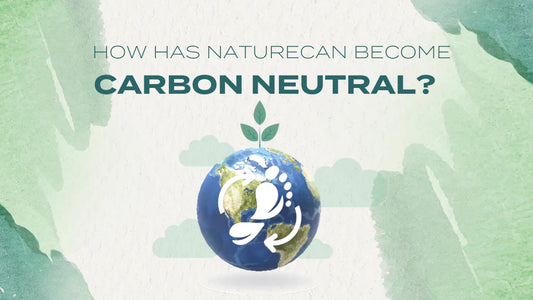 How have We Become Carbon Neutral