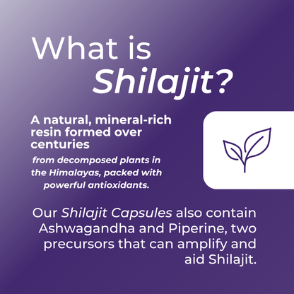 Shilajit Capsules